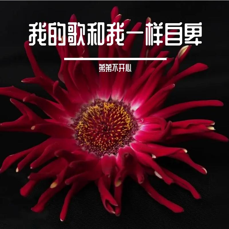 我的歌和我一样自卑