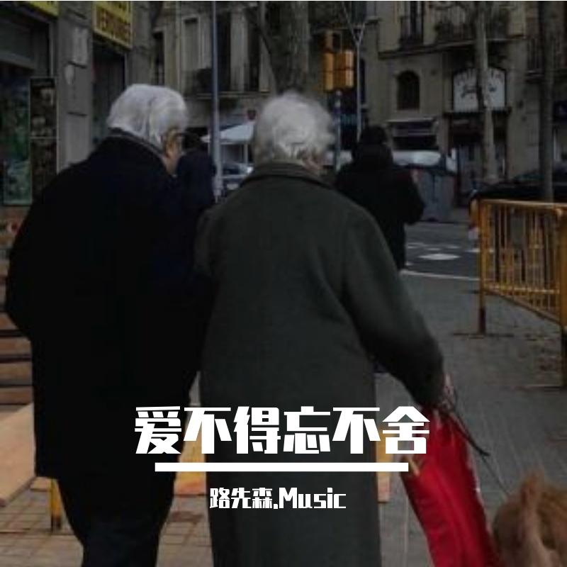 爱不得忘不舍