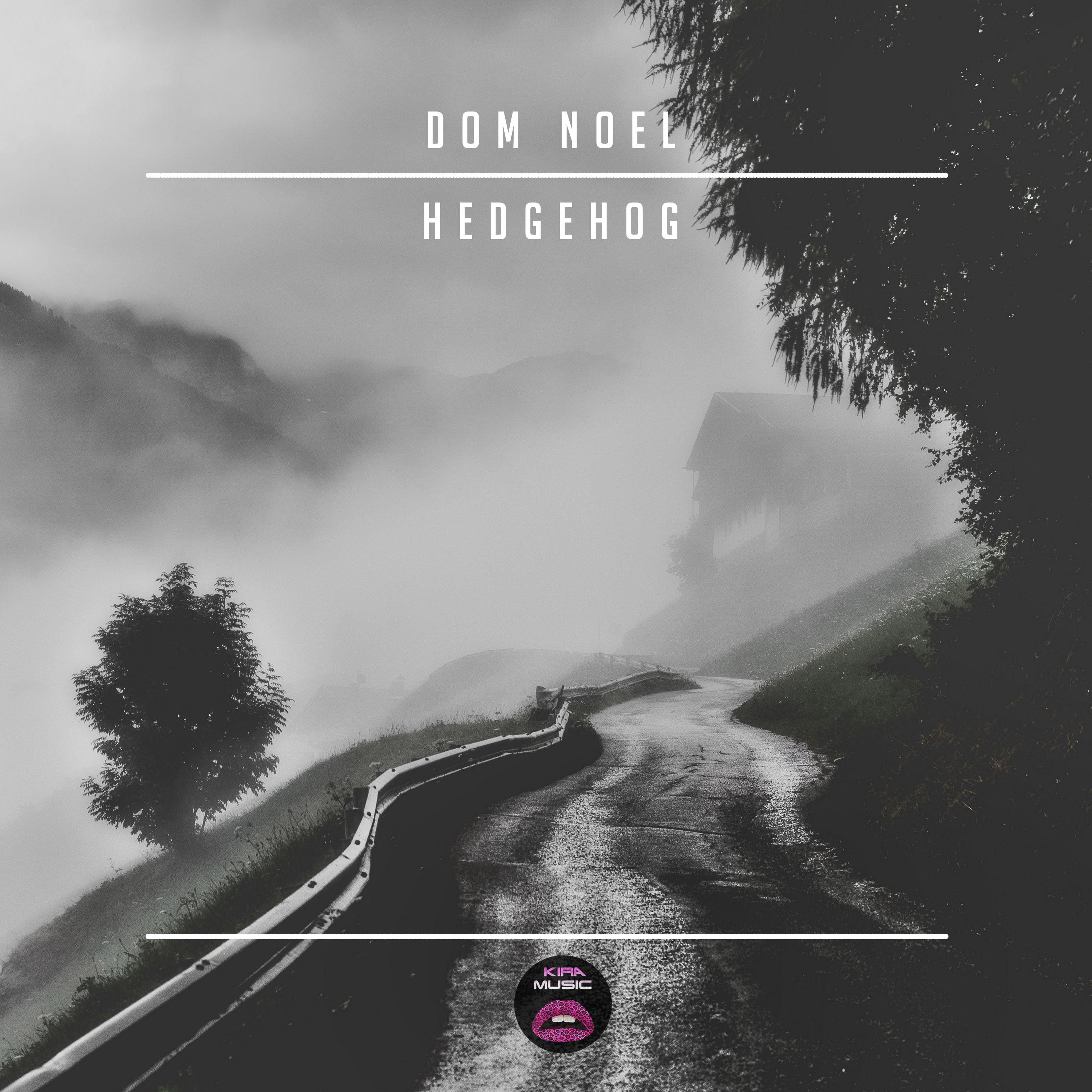 Dom Noel - Hedgehog