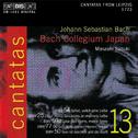 BACH, J.S.: Cantatas, Vol. 13 (Suzuki) - BWV 25,  50, 64, 69a, 77专辑