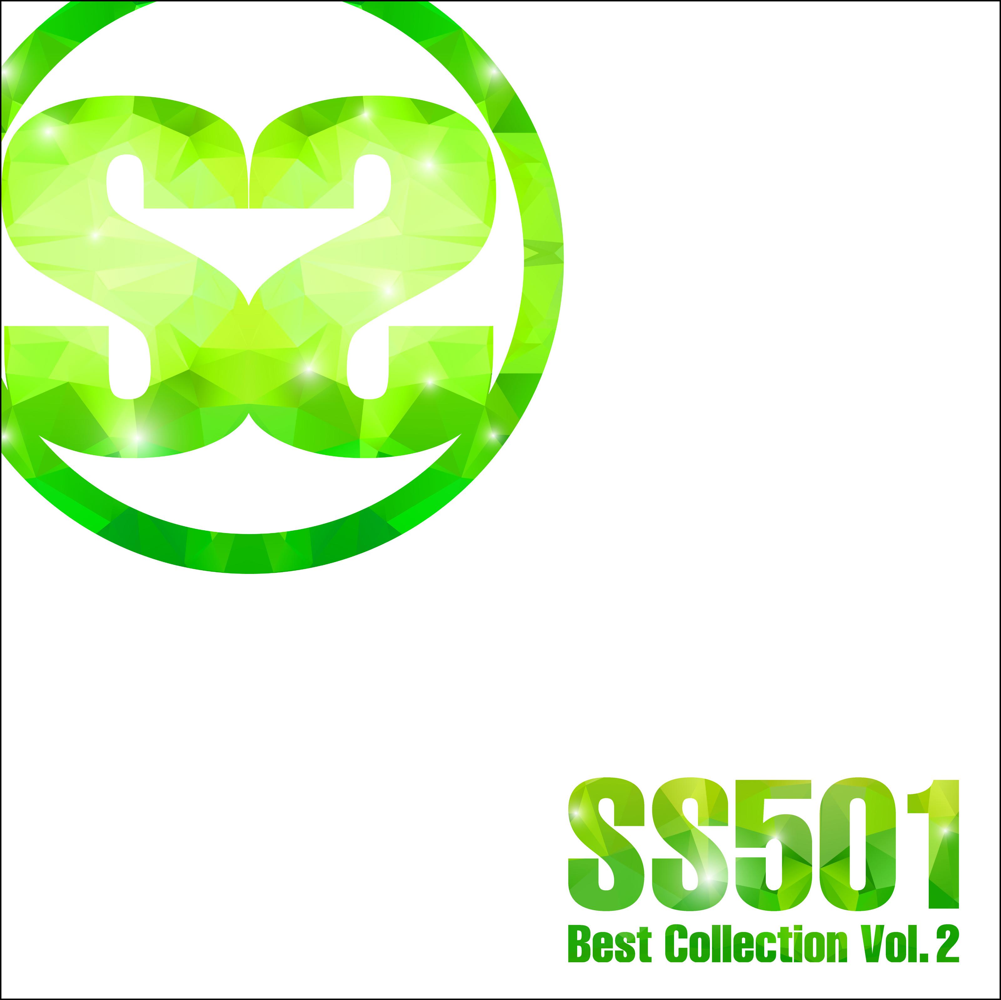 SS501 Best Collection Vol.2专辑