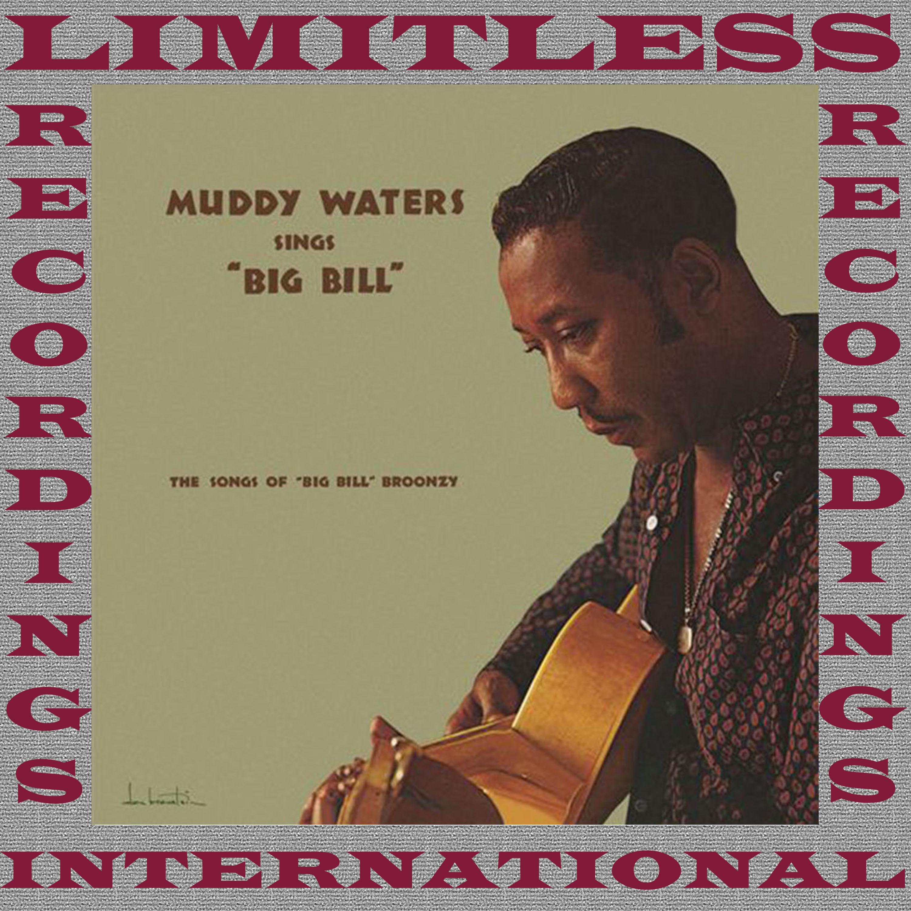 Sings Big Bill Broonzy