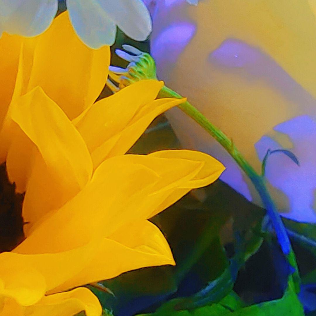 如愿_好⑨不见._20221230_223007