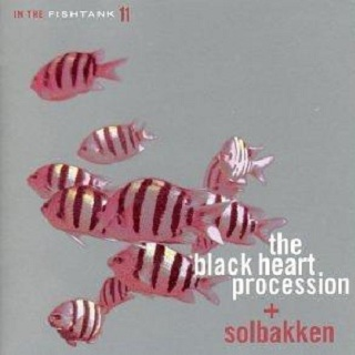 In the Fishtank 11