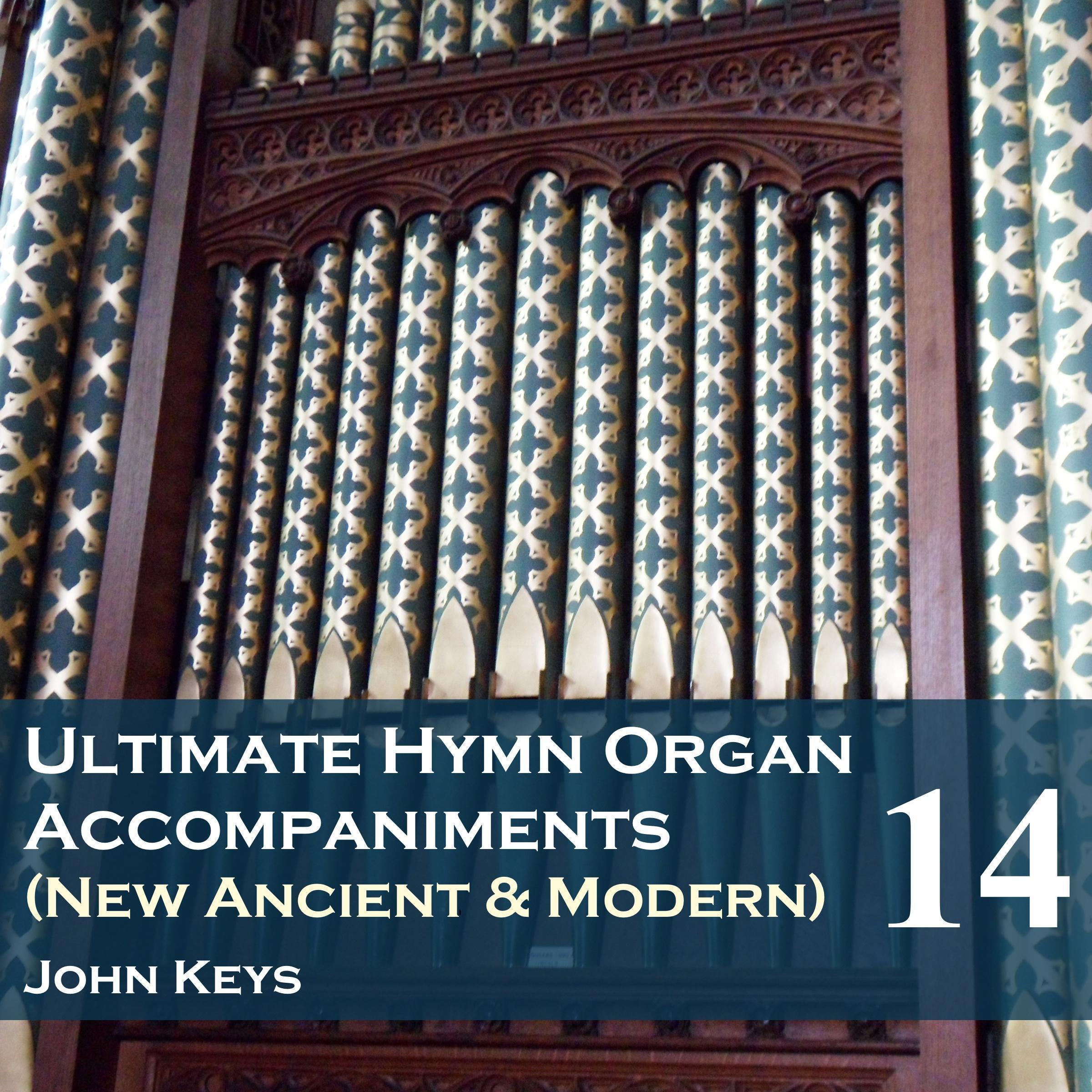 Ultimate Hymn Organ Accompaniments, Vol. 14