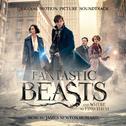 Fantastic Beasts and Where to Find Them: Music From The Motion Picture (Picture Disc Audio for YT Co