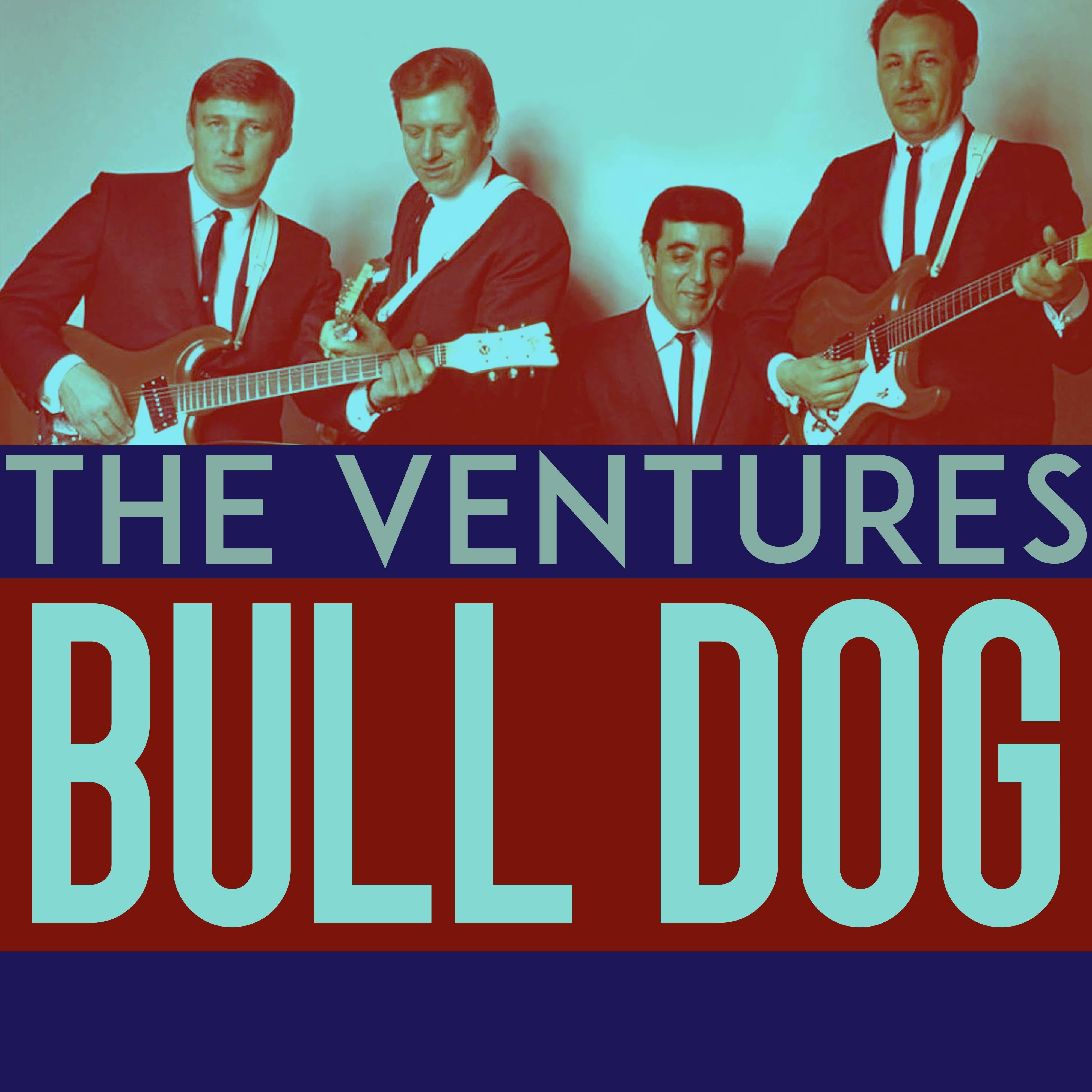Bull Dog