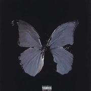 Butterfly(Prod. Furyl, 4_Chords)