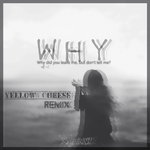 Why(YellowCheese Remix)专辑