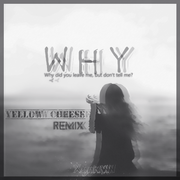 Why(YellowCheese Remix)