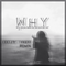 Why(YellowCheese Remix)专辑