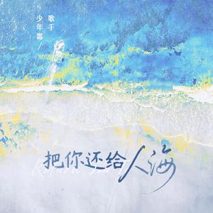 少峰、巴图 - 在人海 (伴奏) （降4半音）