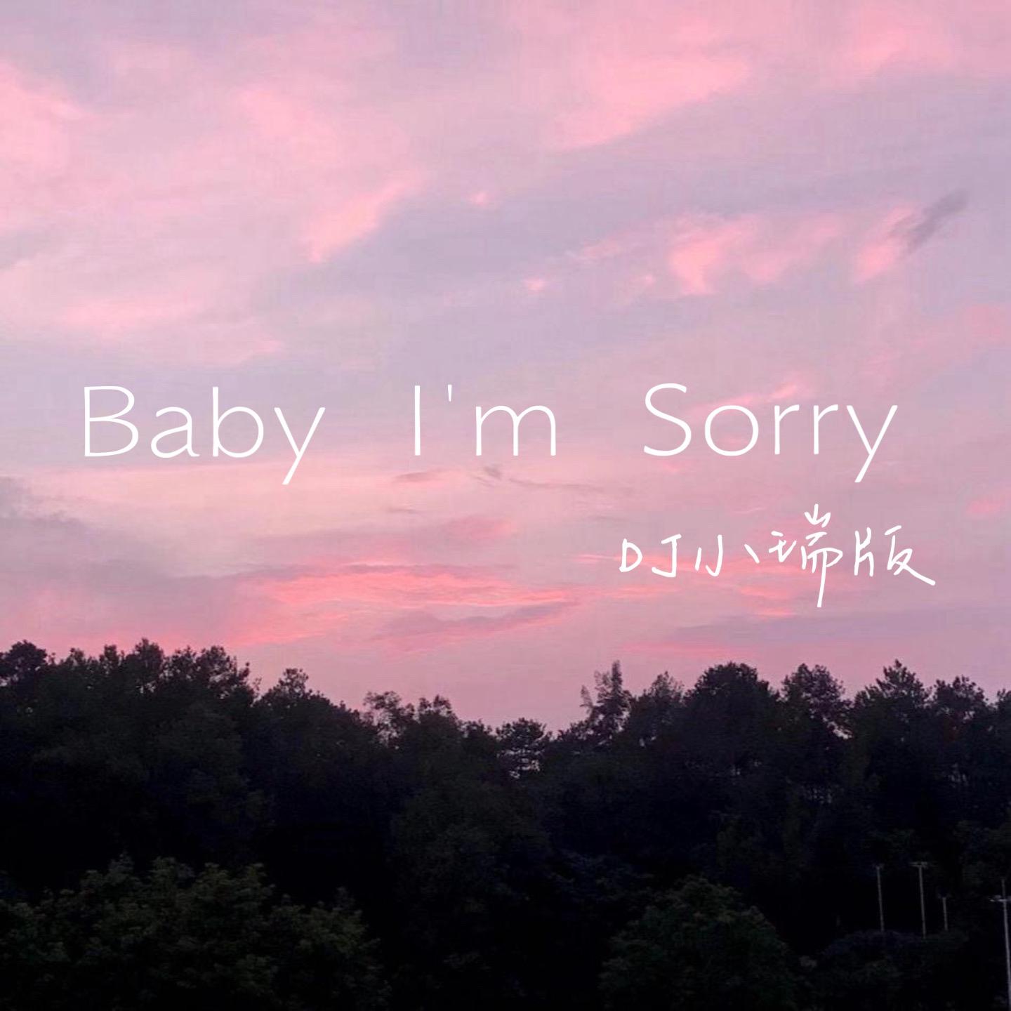 Baby I'm Sorry