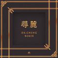 寻麓（DkCheng Remix）