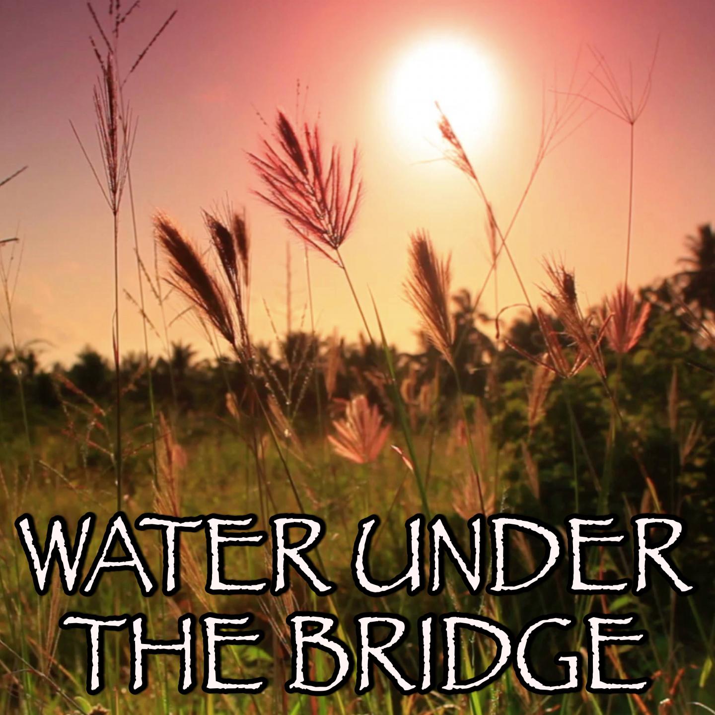 Water Under the Bridge - Tribute to Adele专辑