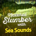 Natural Slumber with Sea Sounds专辑