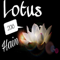 Lotus