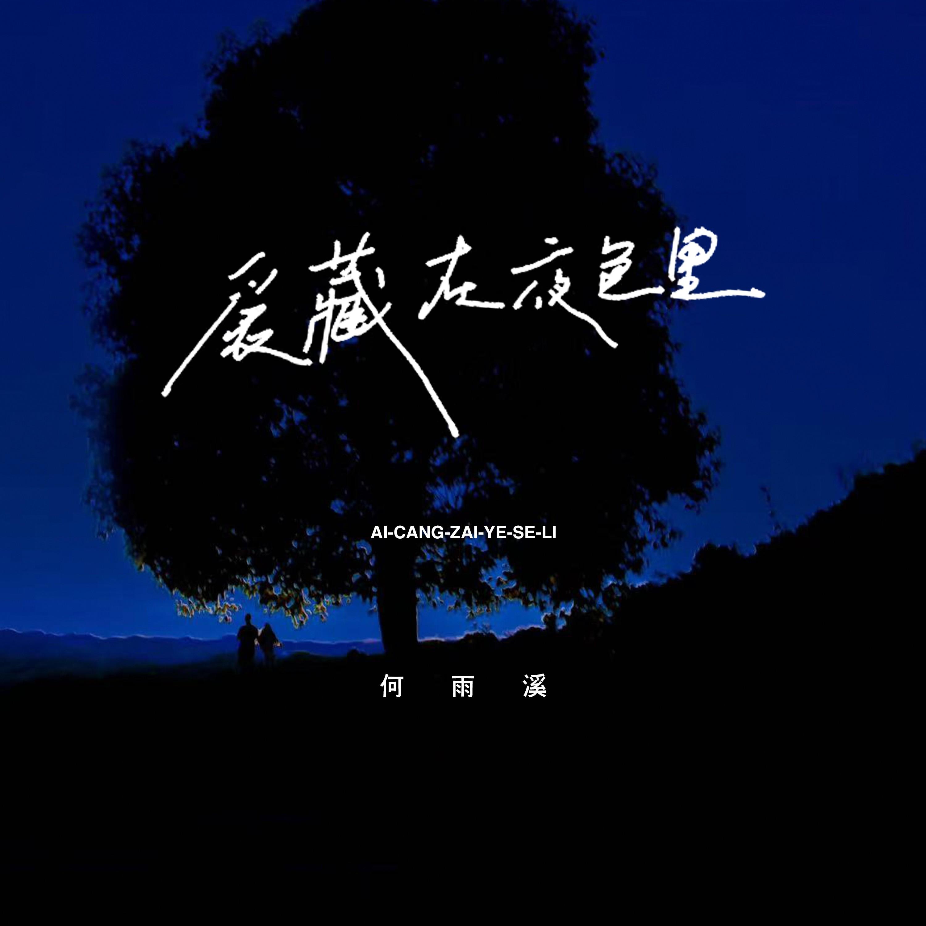 爱藏在夜色里