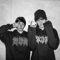 Glass Animals