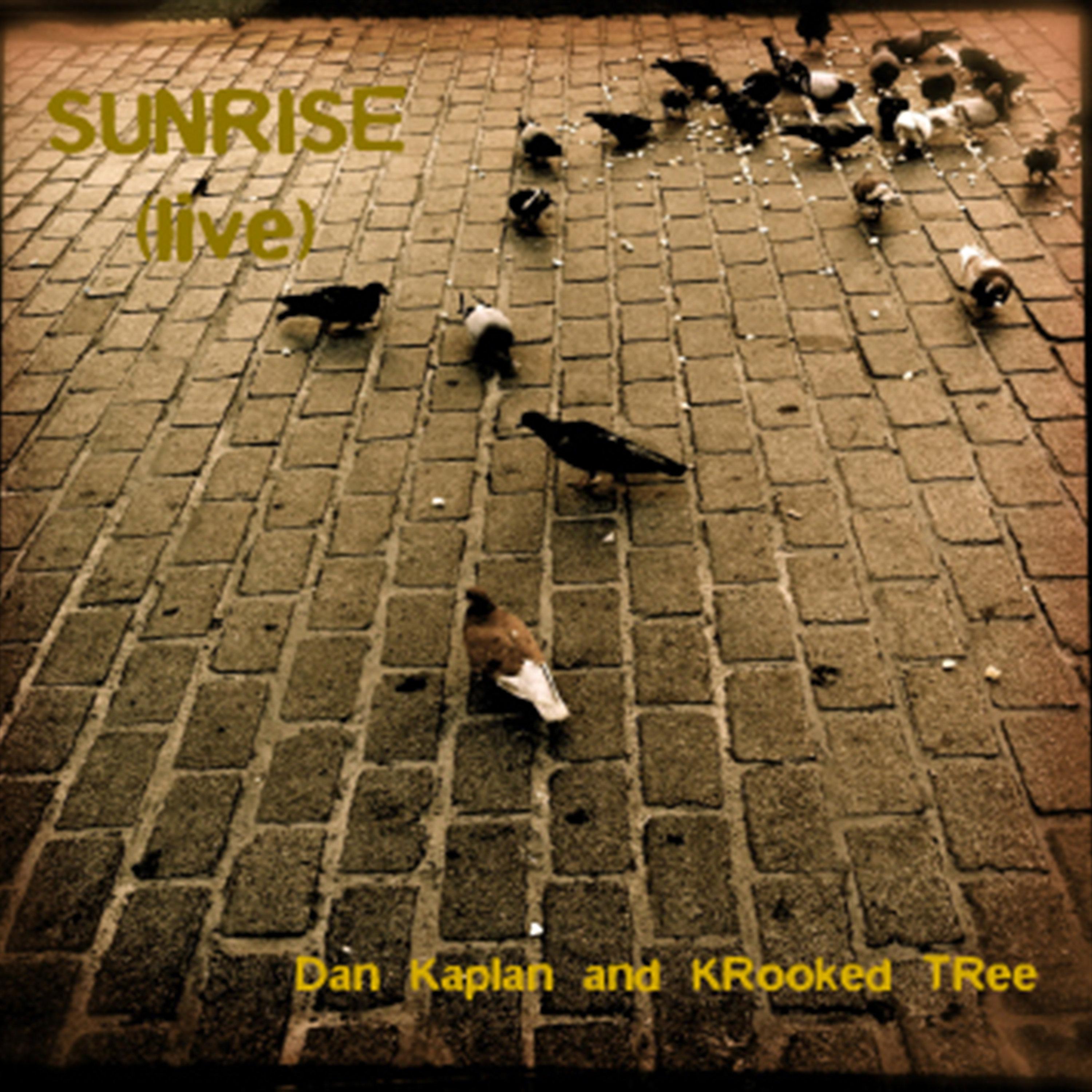 Sunrise (Live)