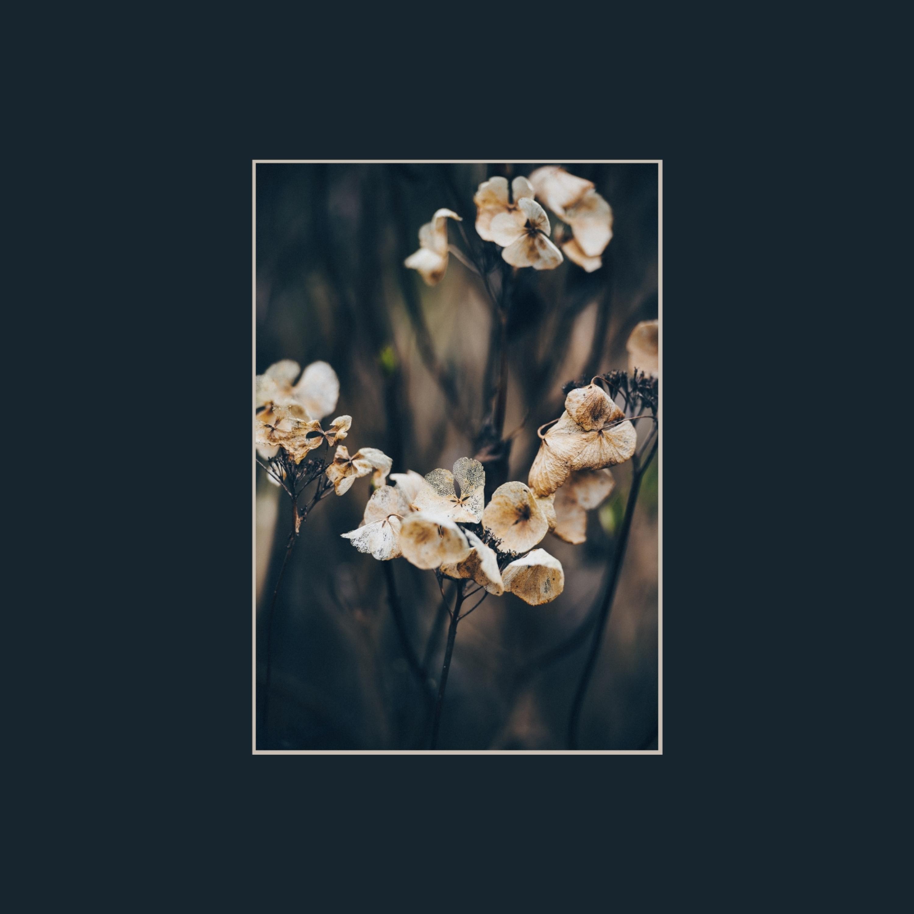 Close (feat. Molly Frances)