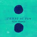 Ed Sheeran - Shape of You (FOM Remix)专辑