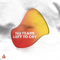 No Tears Left To Cry