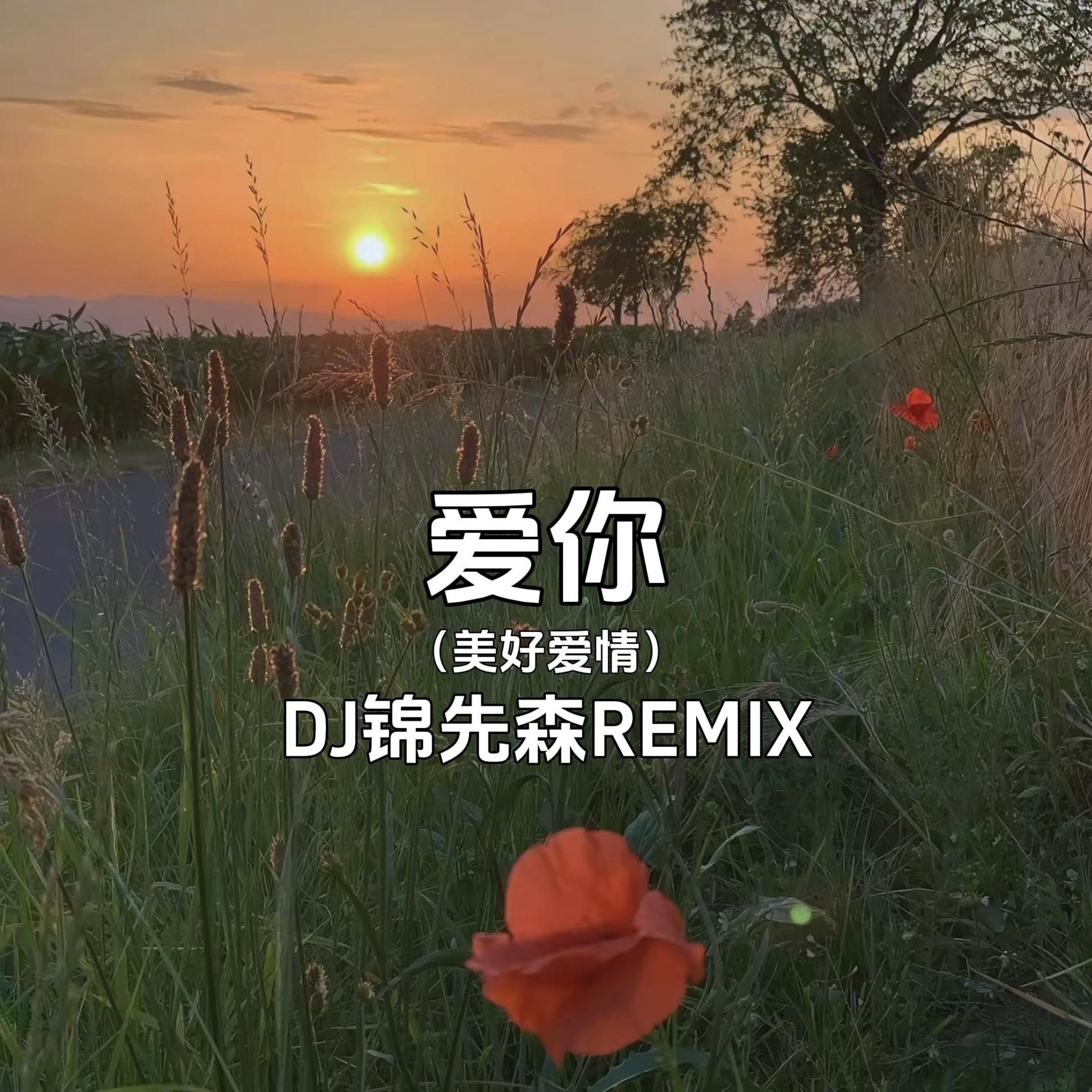 爱你（美好爱情）（DJ锦先森 Remix）