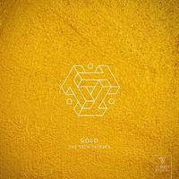 The Shelters - Gold (PT Instrumental) 无和声伴奏