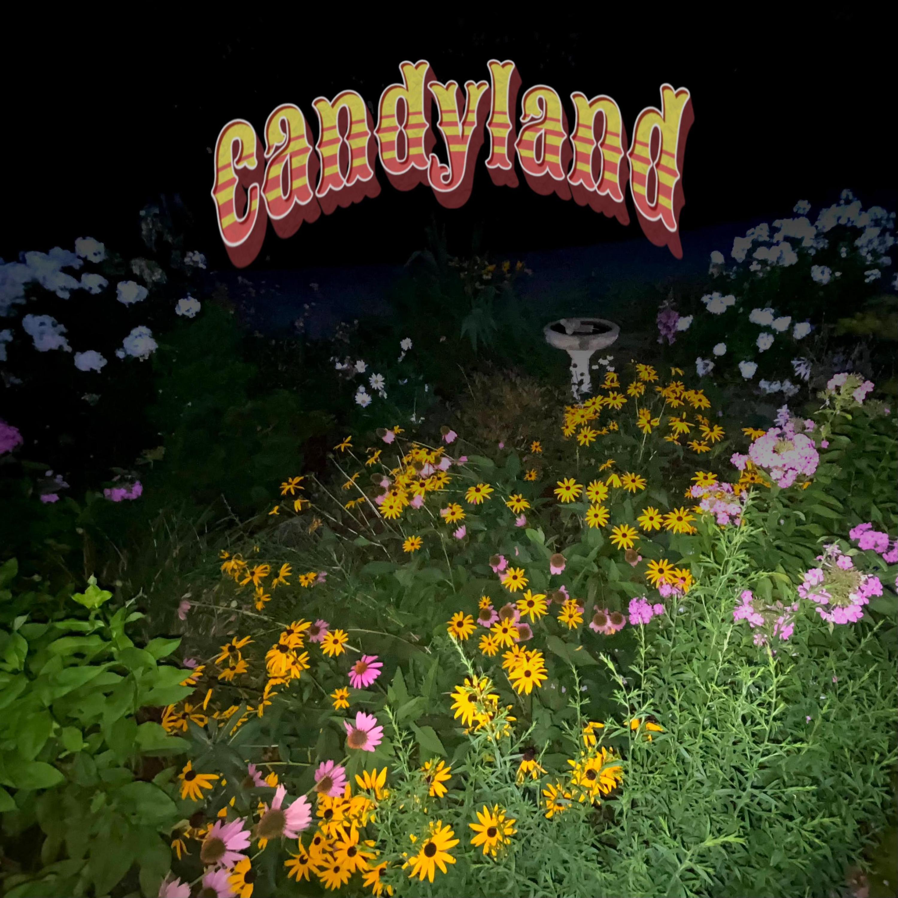 AF13 - Candyland_Otari_29.27_Ips_Vari