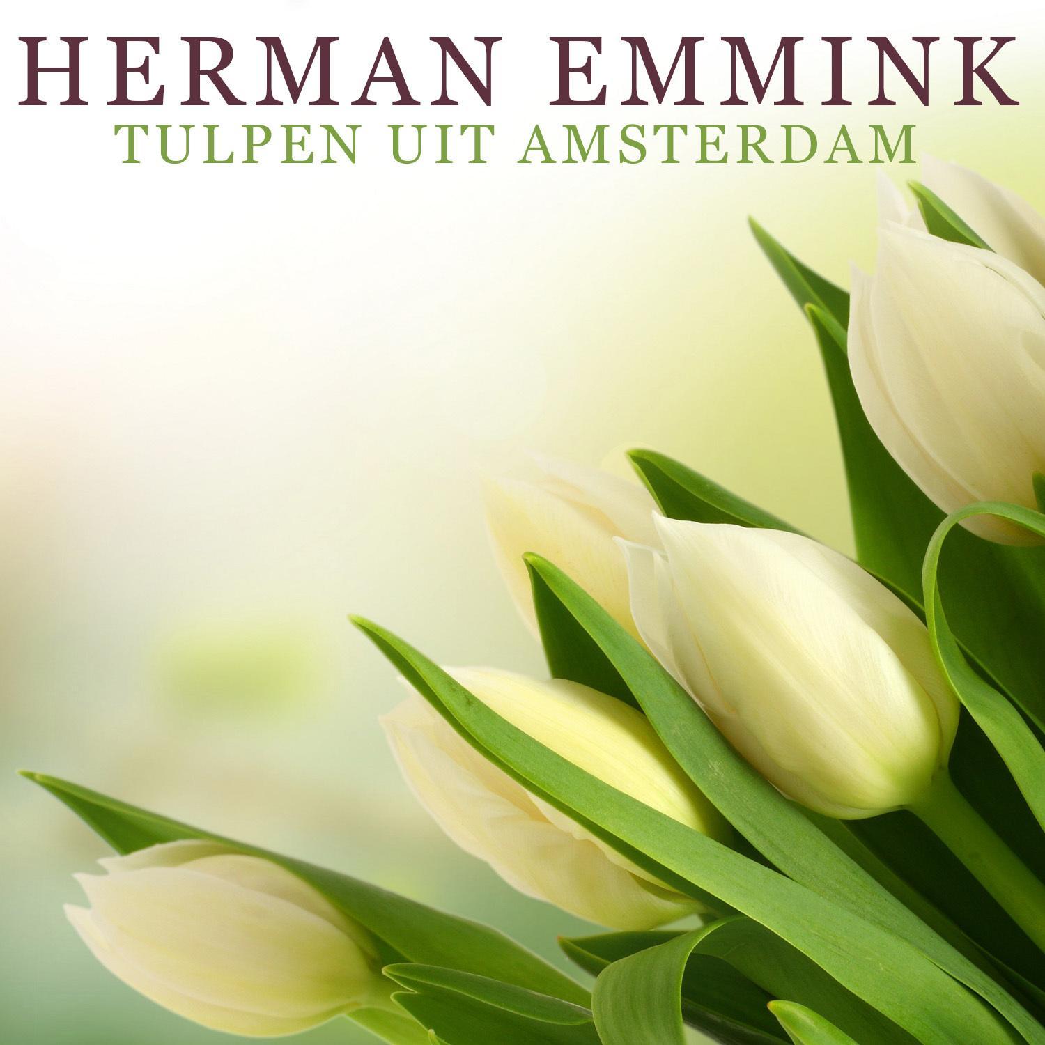 Tulpen Uit Amsterdam