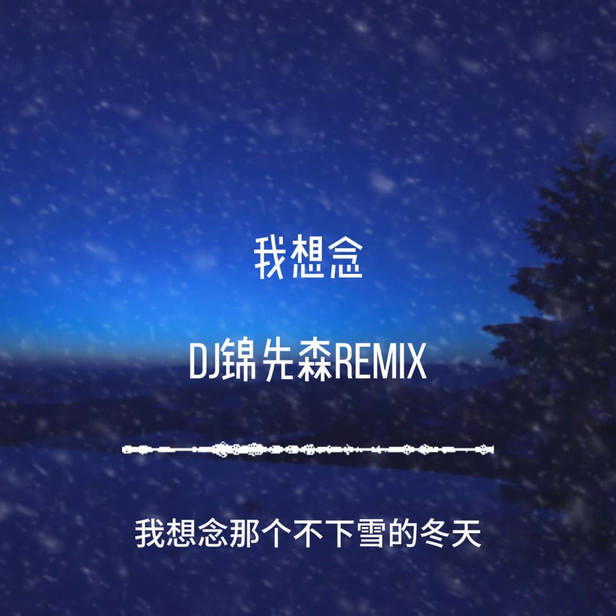 我想念（DJ锦先森 Remix）