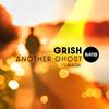 Grish - Another Ghost ft. Akacia (Extended Mix)