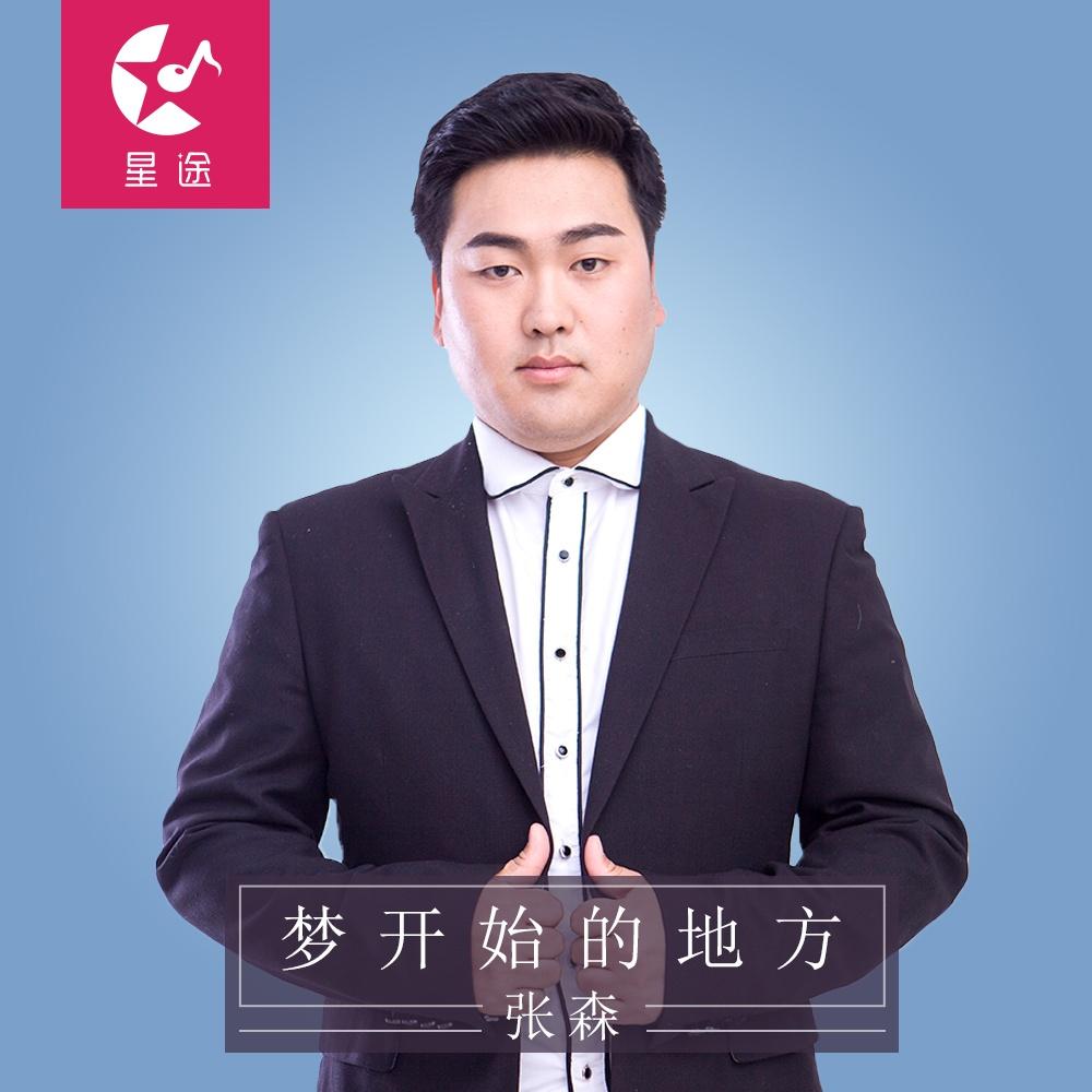 梦开始的地方 - 张森/金钊/高爽利/陈昱菲 - 单曲 - 网易云音乐