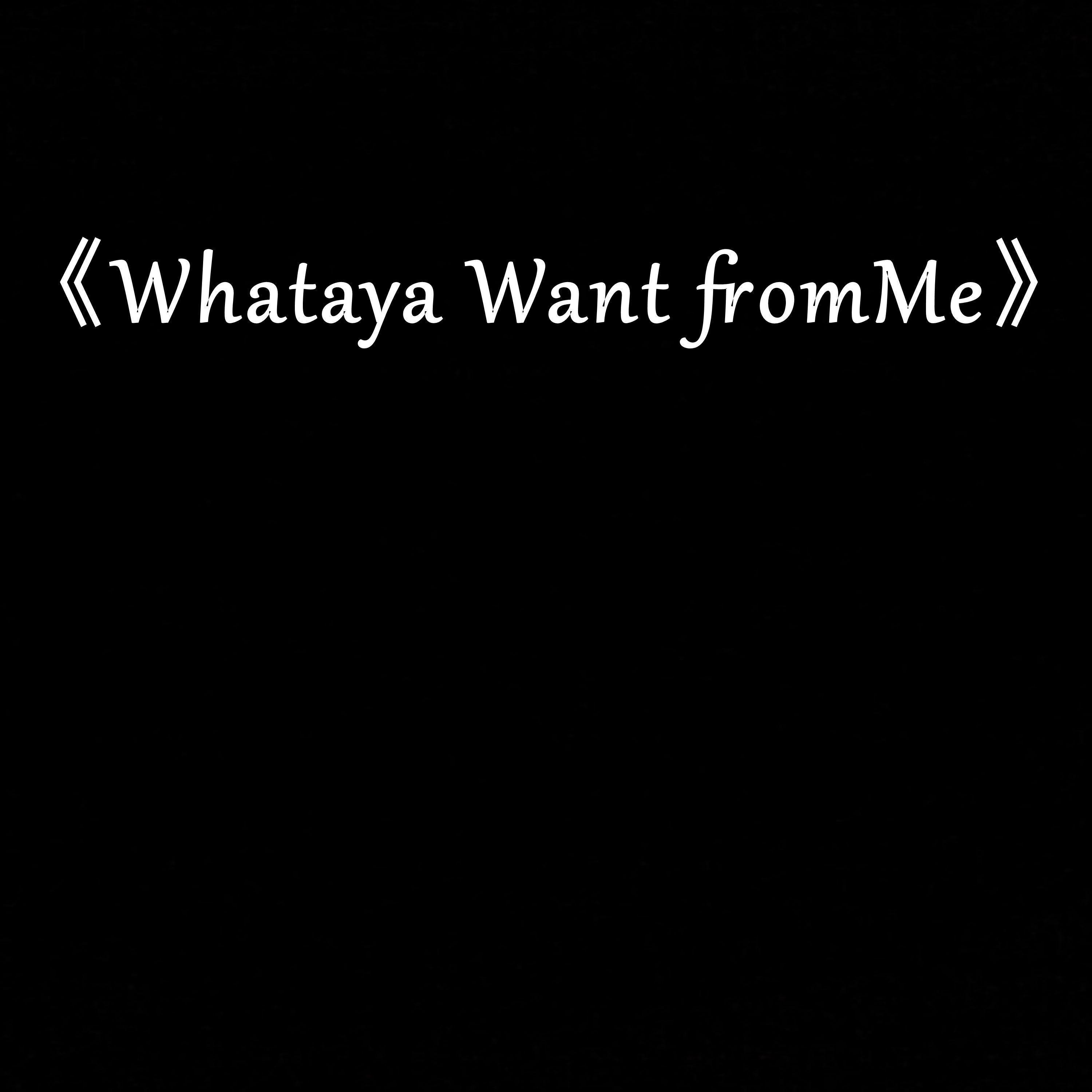 王同同 - Whataya Want fromMe