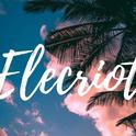 Elecriot