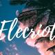 Elecriot