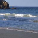 山海入梦来专辑