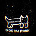 Dog In Park专辑