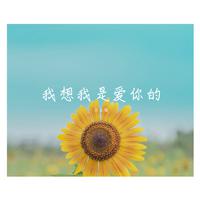 为何痴情总是归自己(E 纯伴奏)