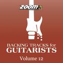 Backing Tracks for Guitarists, Vol. 12专辑