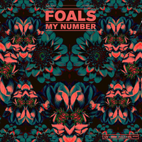 Foals - My Number (Z karaoke) 带和声伴奏