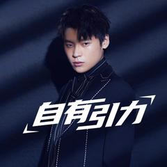 隔壁老樊《自有引力吉他谱》C调_编曲简洁动人