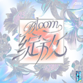 绽放Bloom（下）