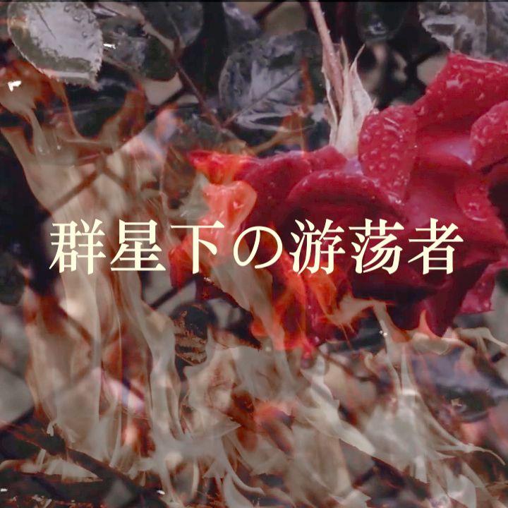 群星下的游荡者