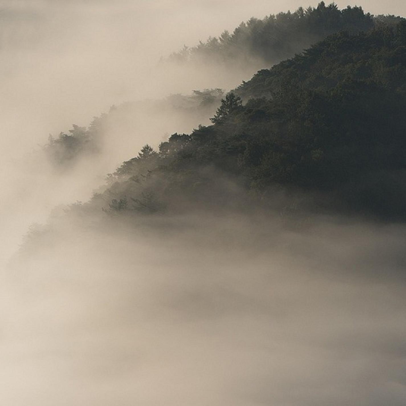 Floating on a Cloud