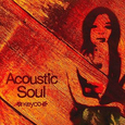 ACOUSTIC SOUL