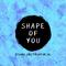 Shape of You (Piano Instrumental Version)专辑