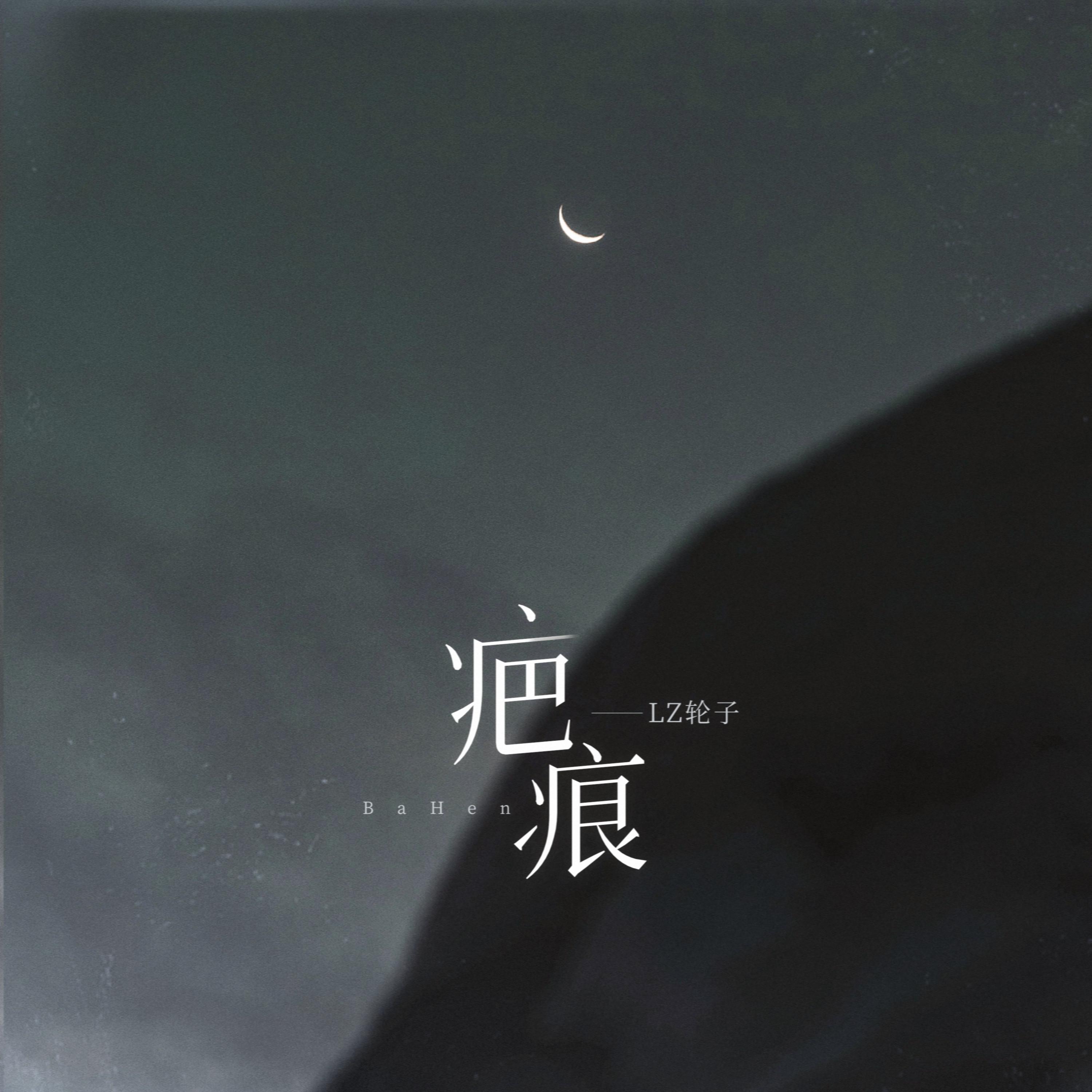 疤痕专辑