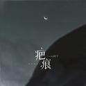 疤痕专辑
